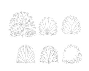 6 Types of Bushes and Shrubs Free DWG Download