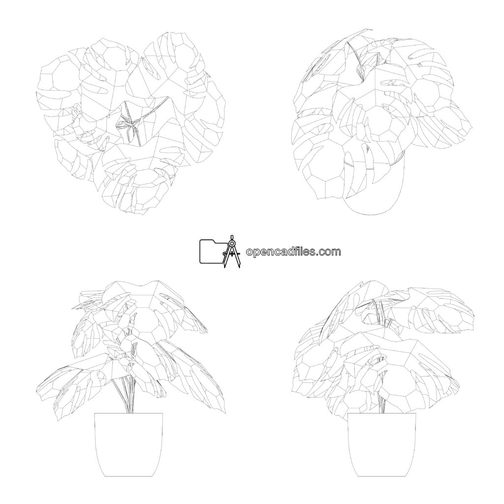 Free Monstera Plant DWG Download, Free Monstera Plant DWG Download