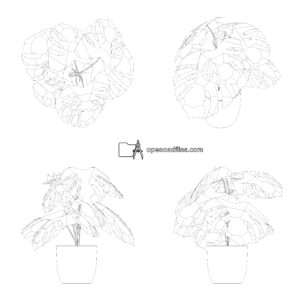 indoor plant cad, houseplant drawing, potted plant 2d