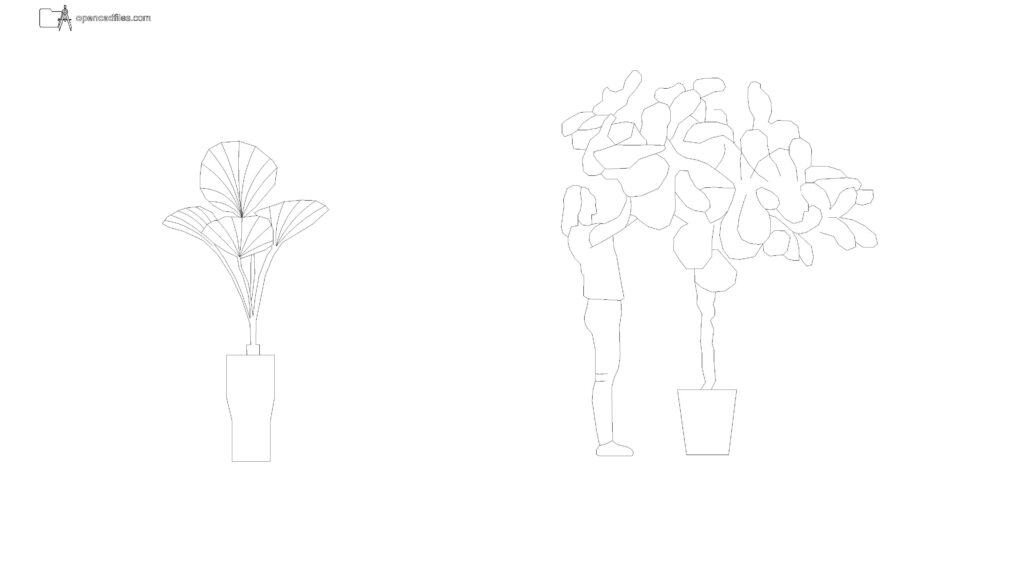 broadleaf-potted-plant-elevation-with-human-figure-dwg