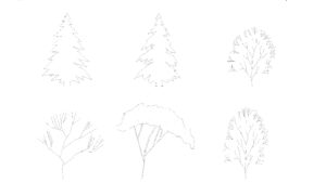 free-tree-elevations-free-dwg