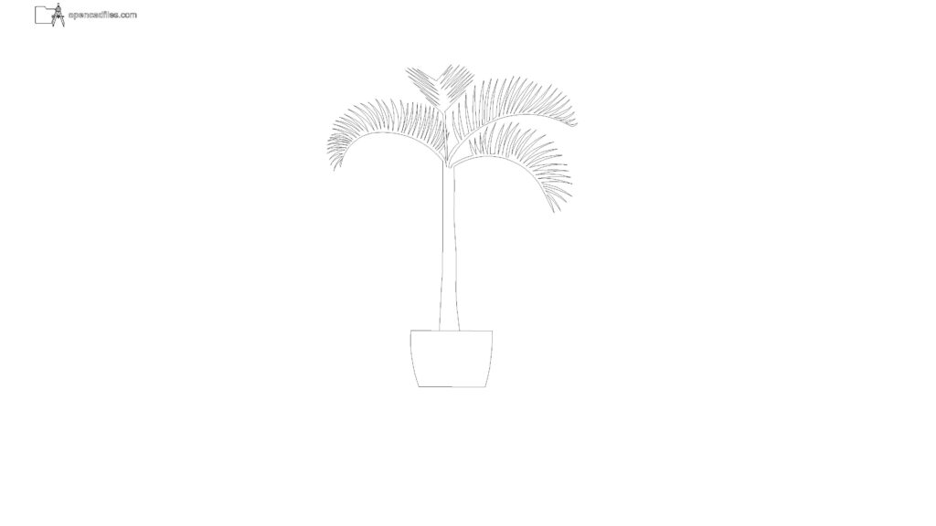 potted-palm-tree-elevation-with-feathery-fronds-dwg